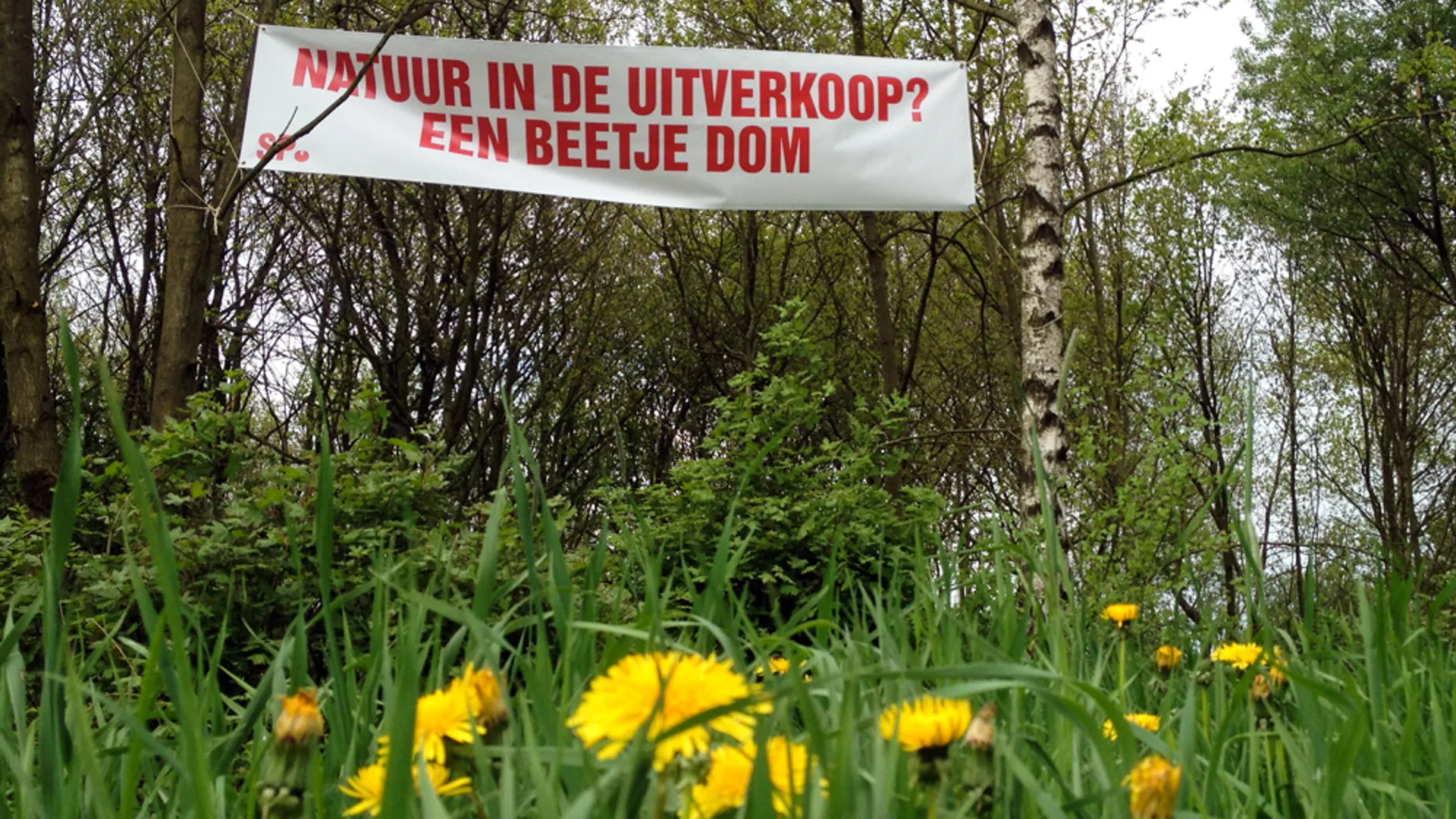 natuurverkoop_Esther_verkleind_004.jpg