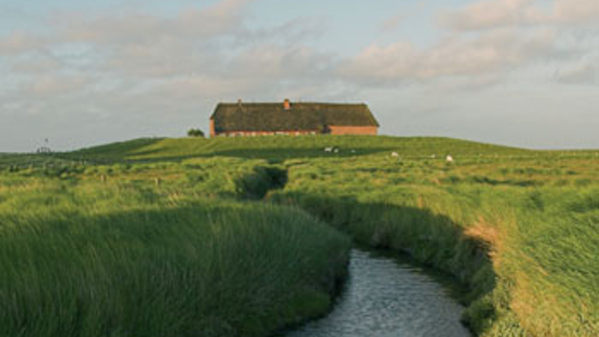vv_newsimg_327425.jpg