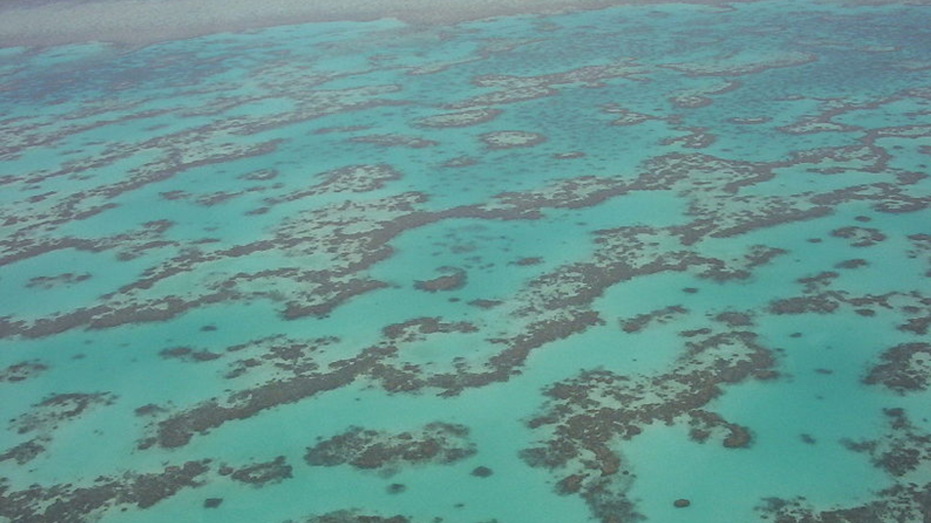 great_barrier_reef_01.jpg