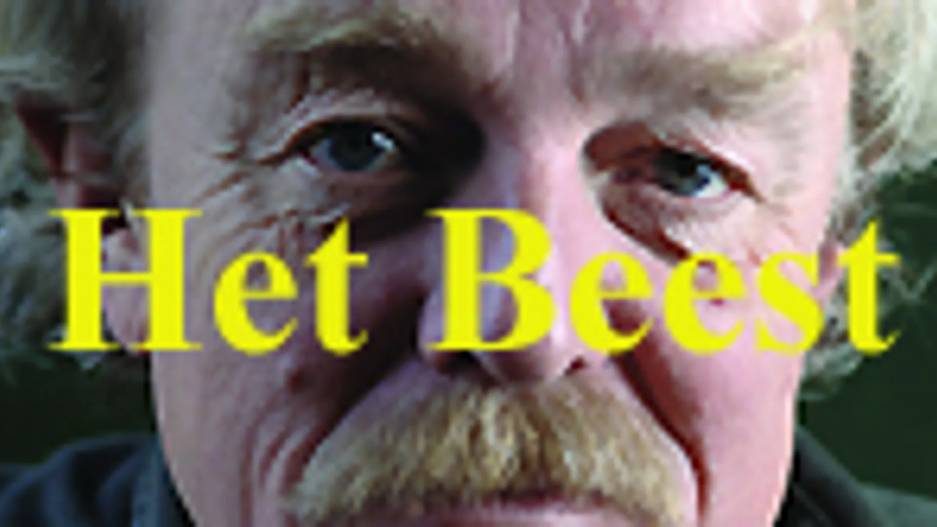 vv_newsimg_250697.jpg