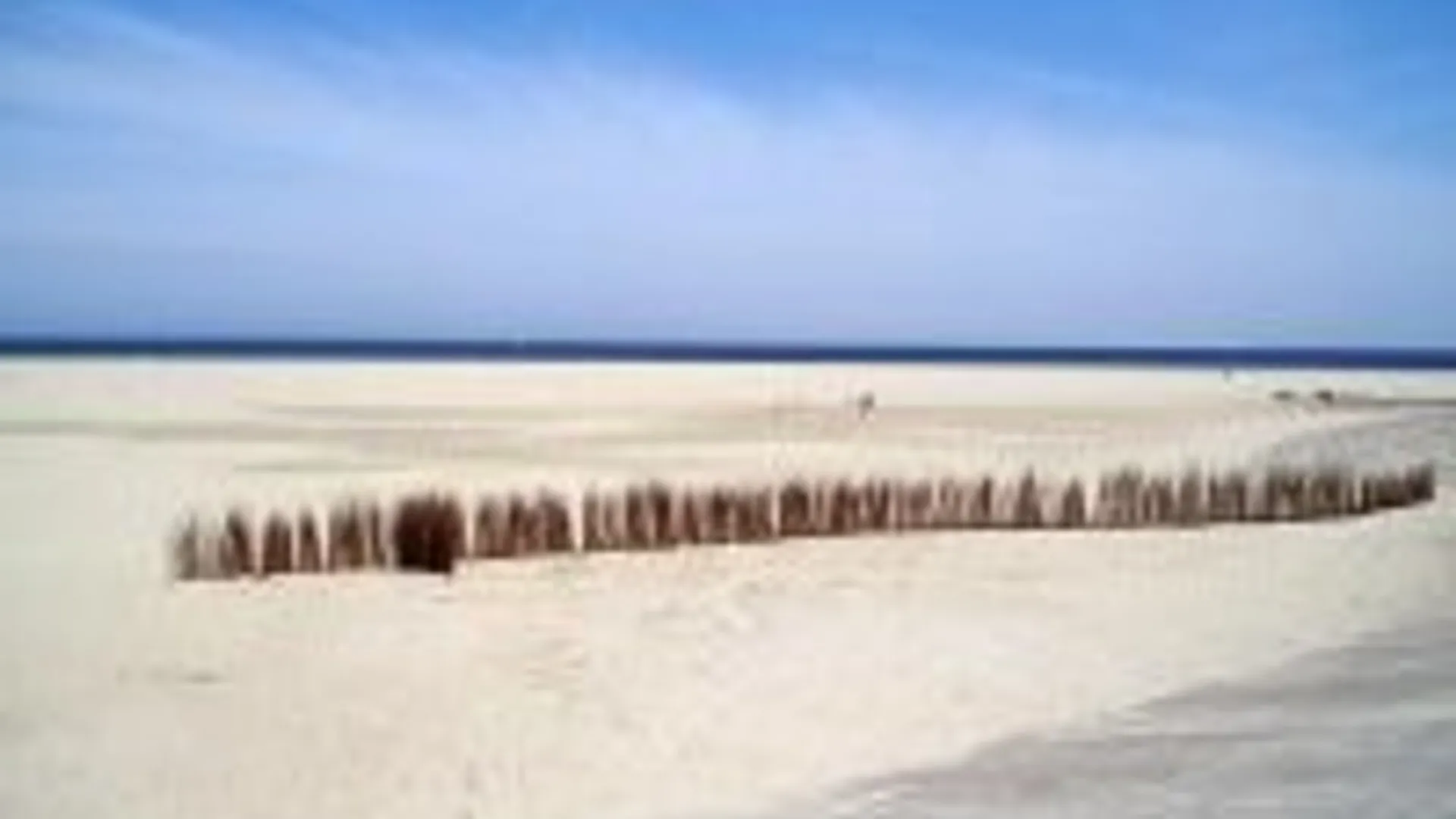strand2.jpg