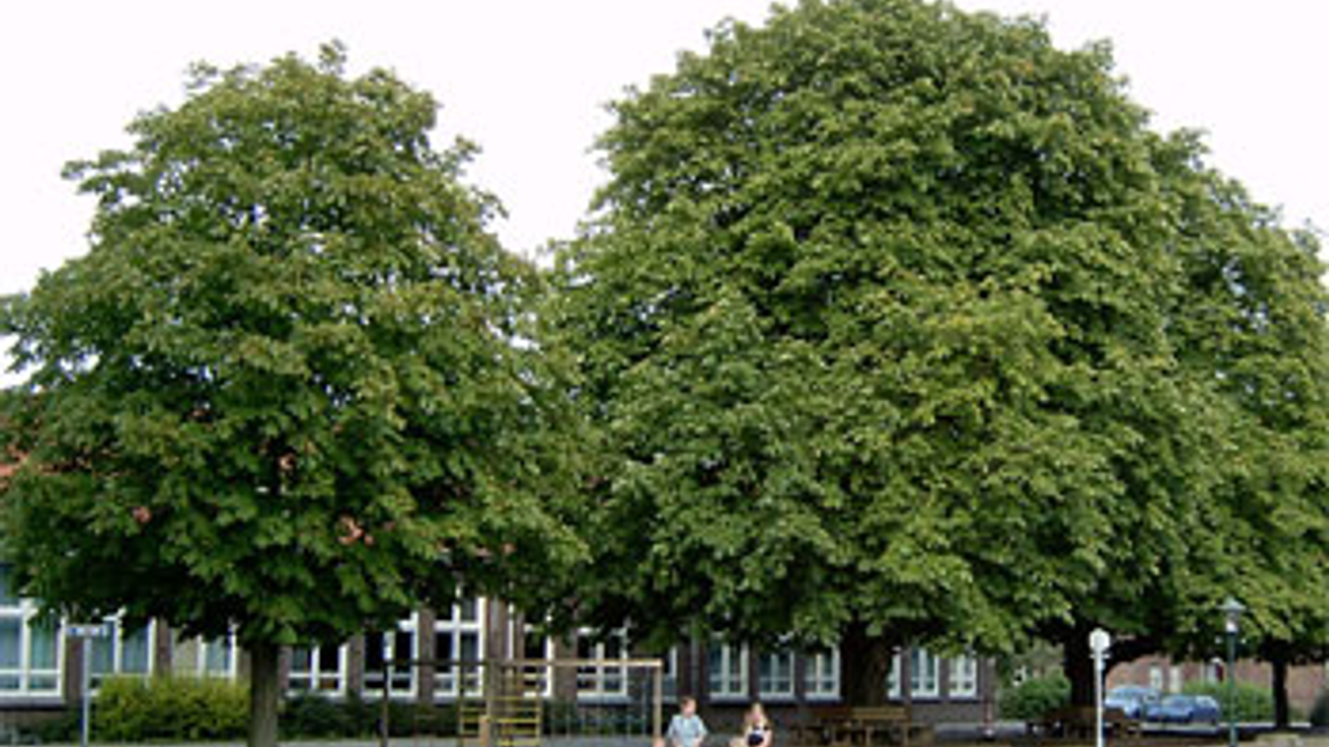 vv_newsimg_149646.jpg