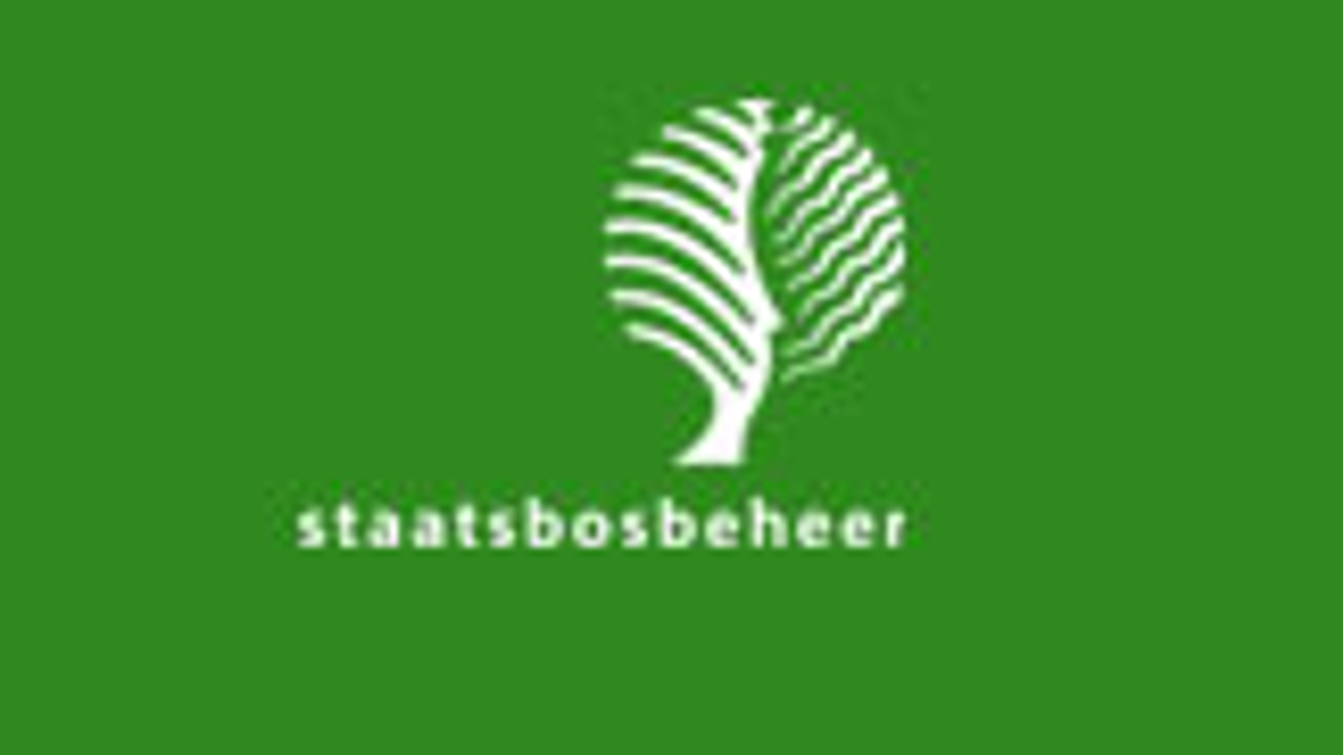 staatsbosbeheer_01.jpg