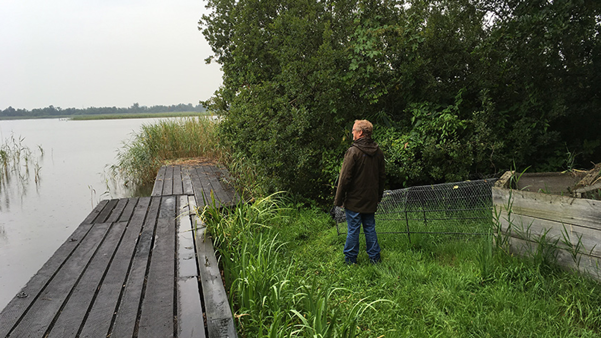 Kooiker - Naardermeer