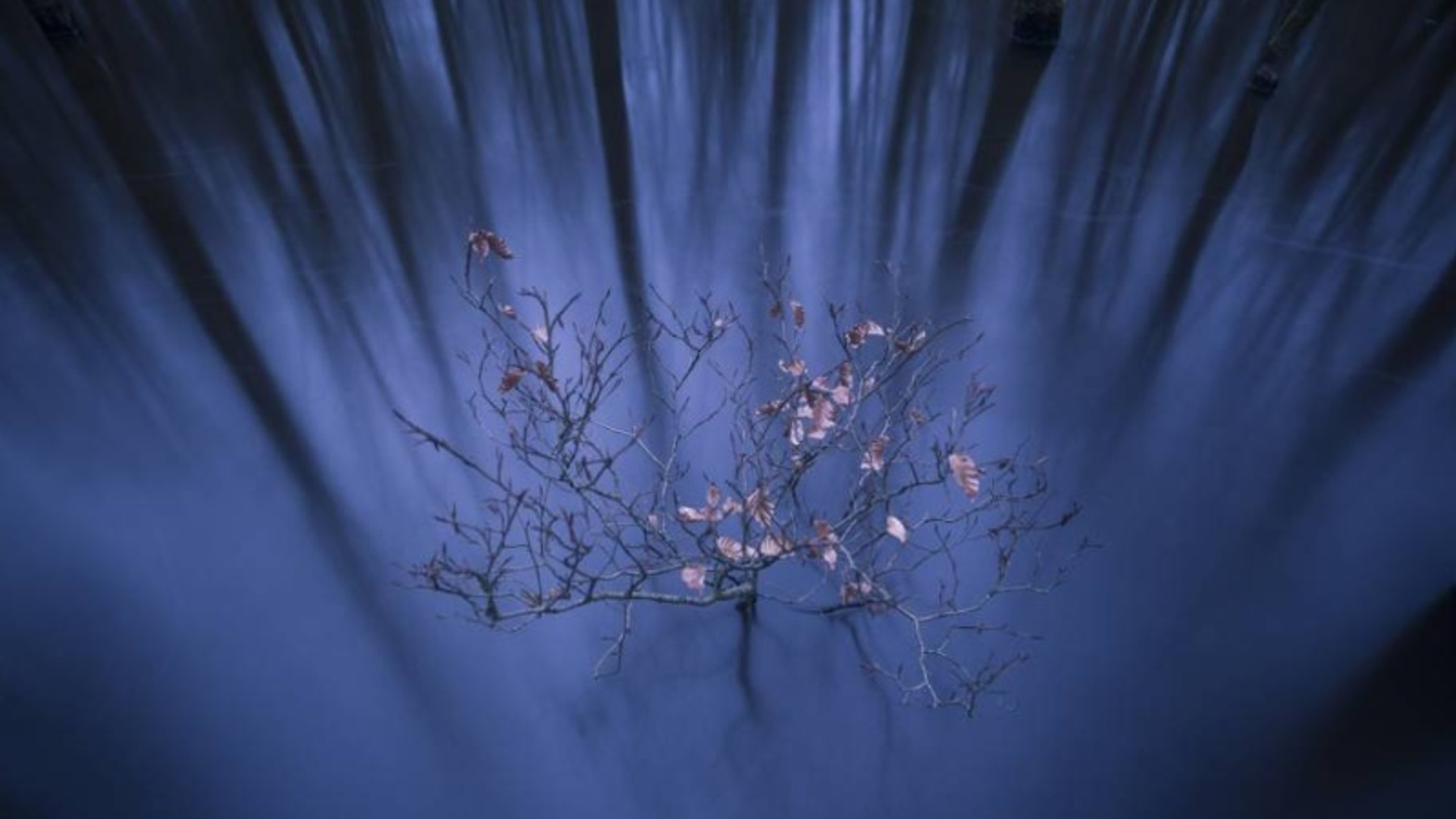 National Geographic prijswinnende foto