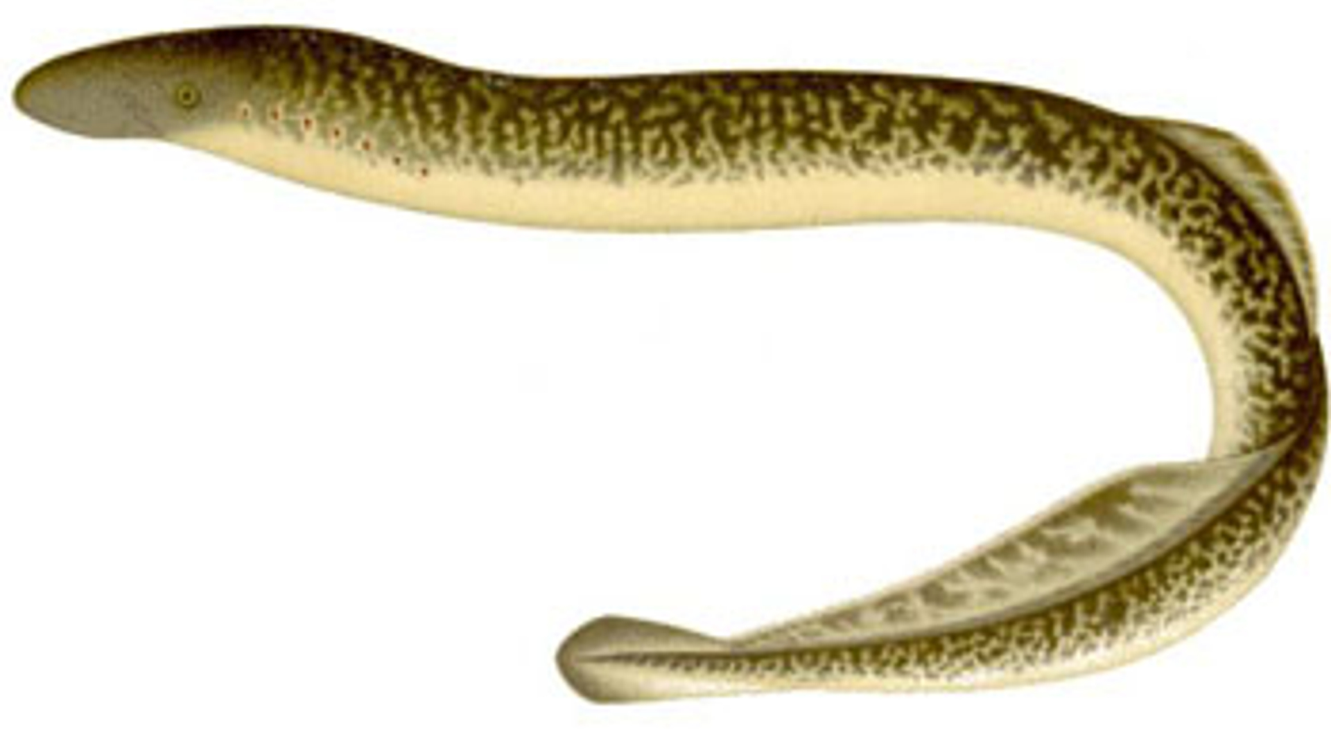 vv_newsimg_255833.jpg
