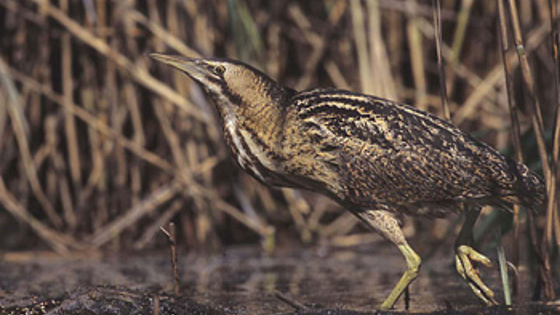 vv_newsimg_336359.jpg