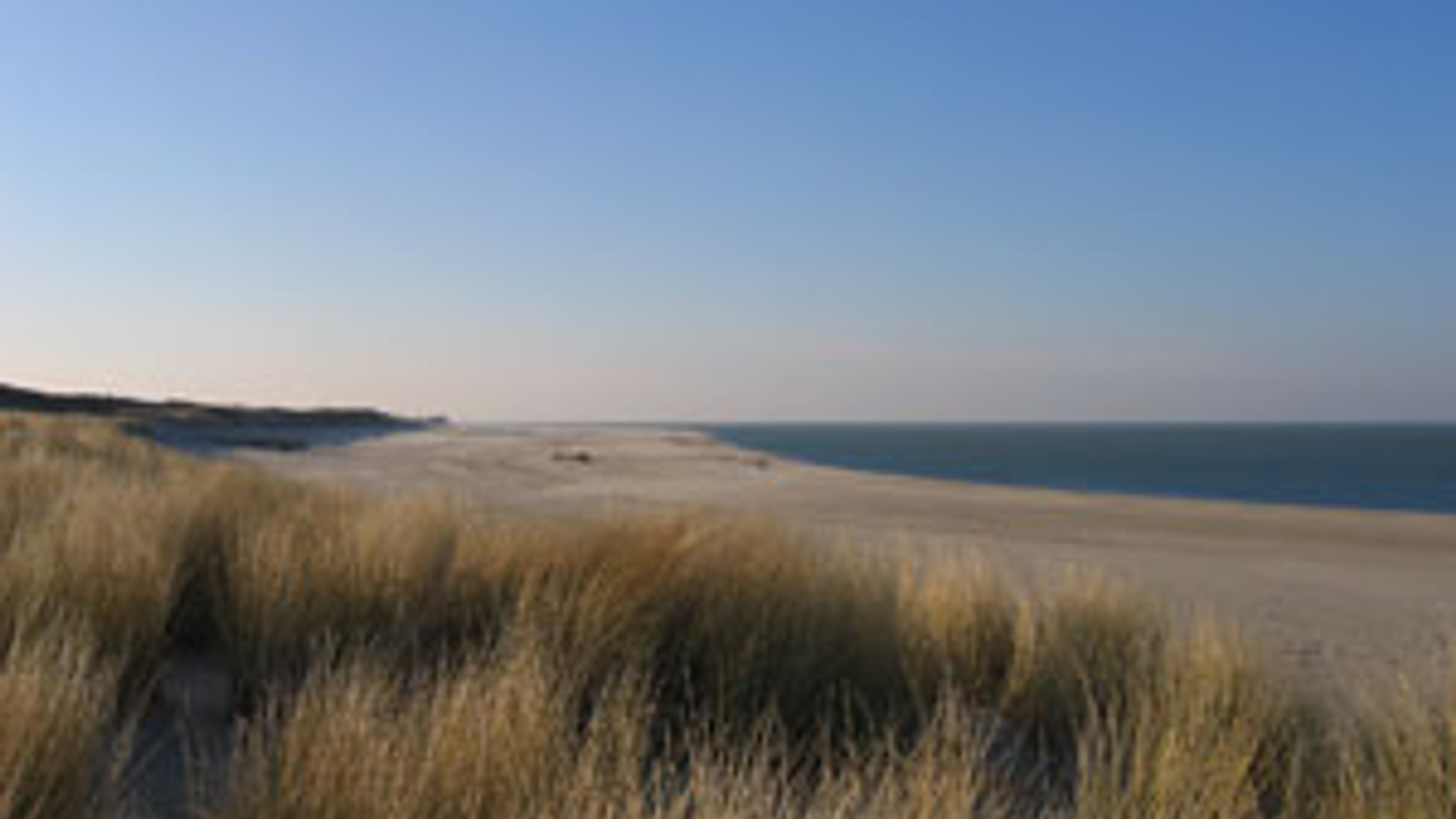 omgeving-strand_01.jpg