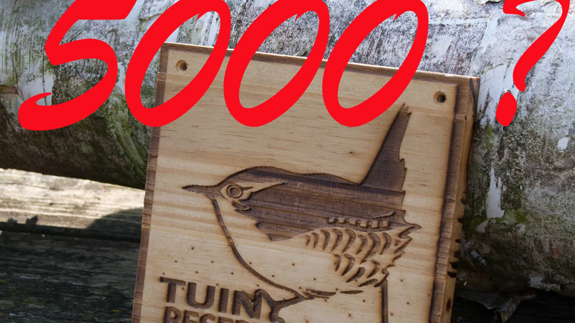5000_vraagteken_logo.jpg