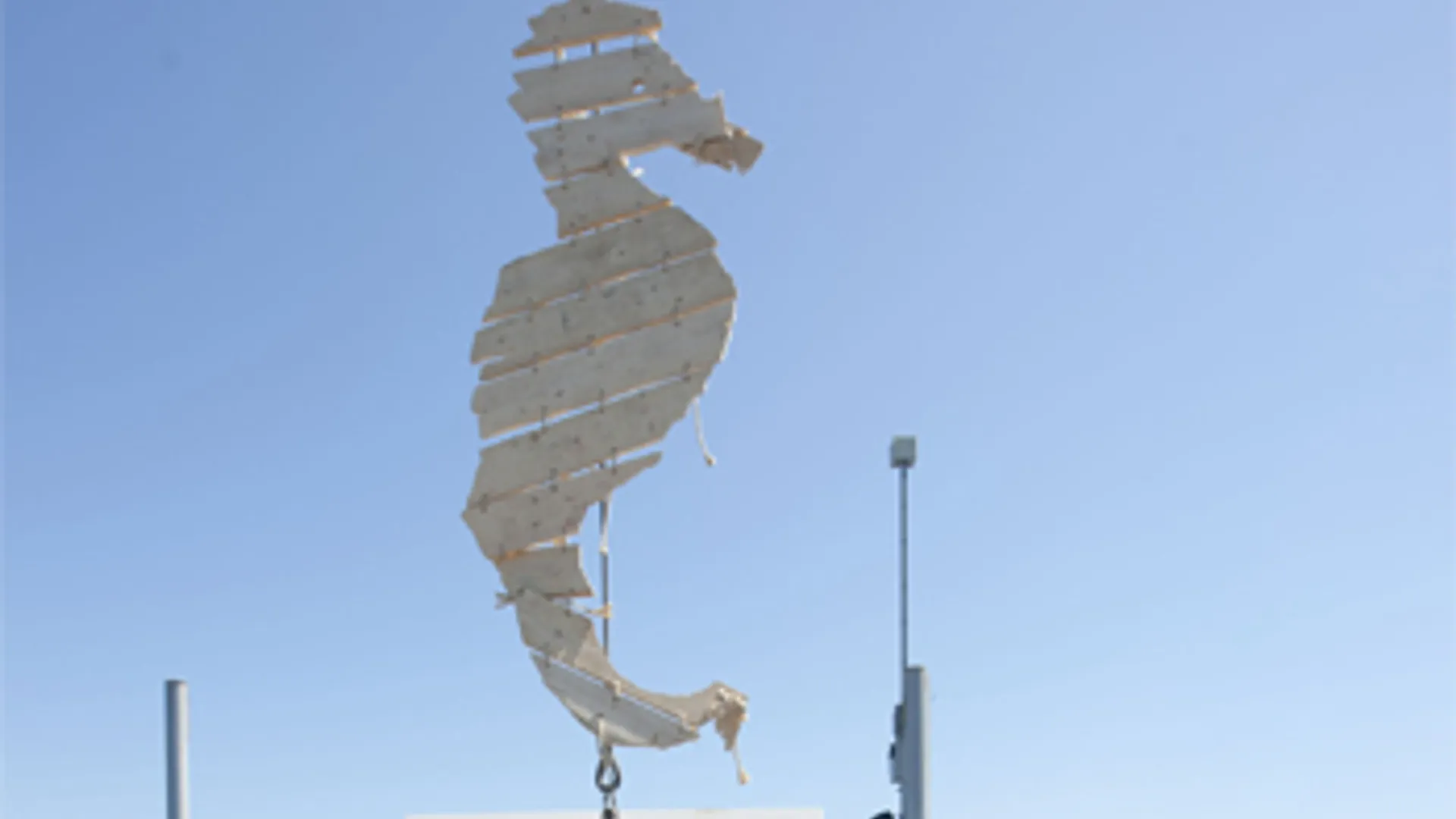 zeepaard-greenpeace.jpg