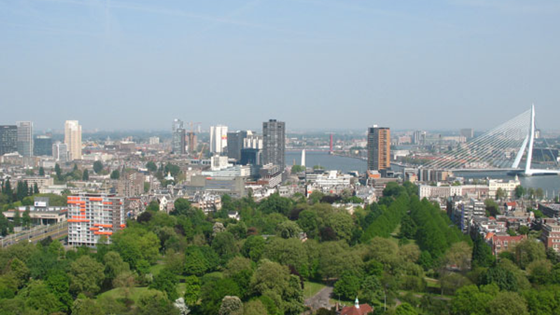 rotterdam.jpg