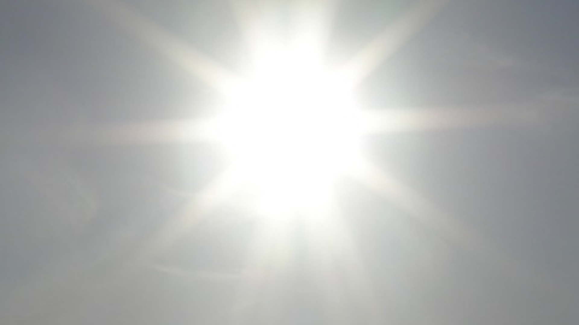 vv_newsimg_309089.jpg