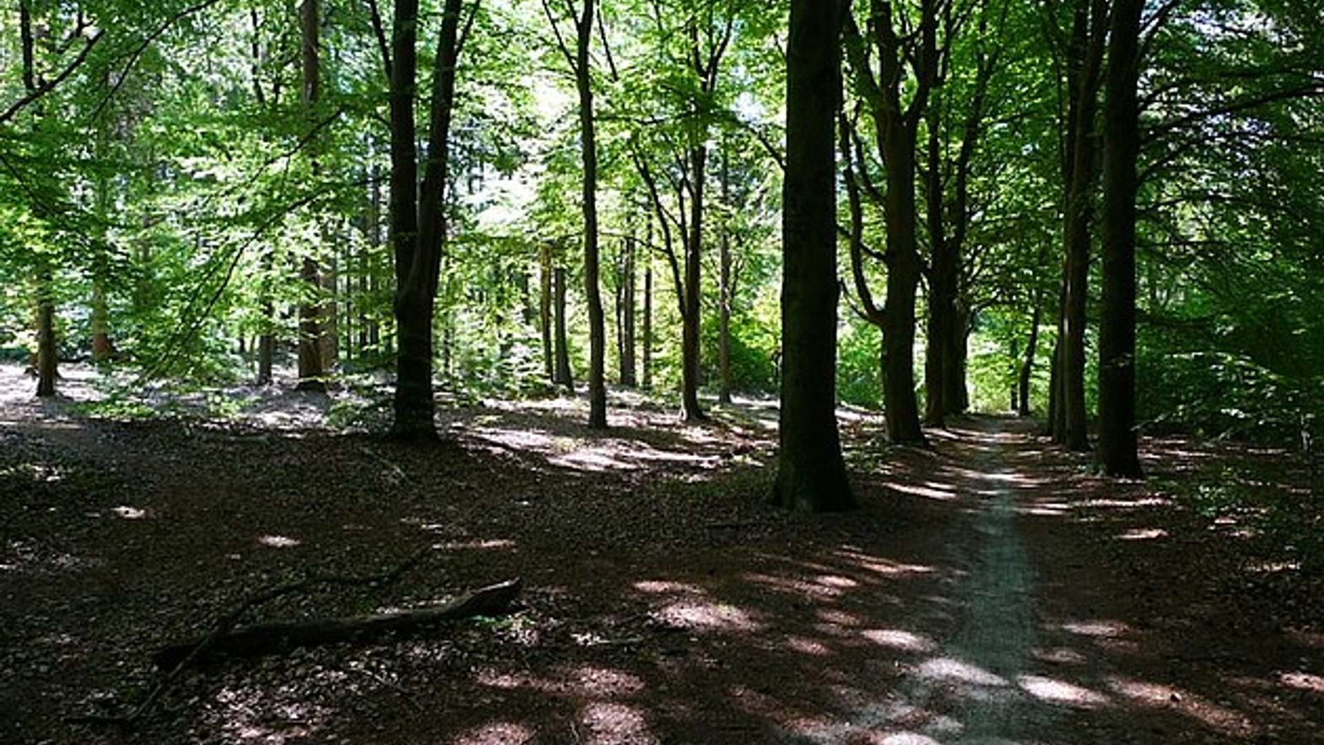 wageningen_berthy.jpg