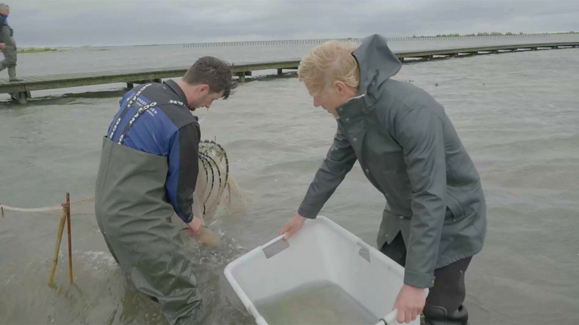 vissen_Markerwadden