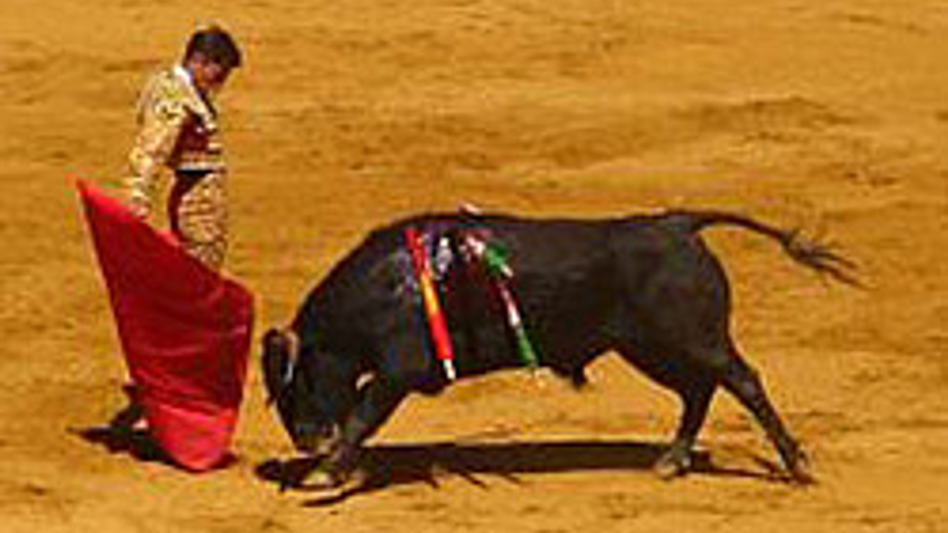 2dfdc491a8.jpg