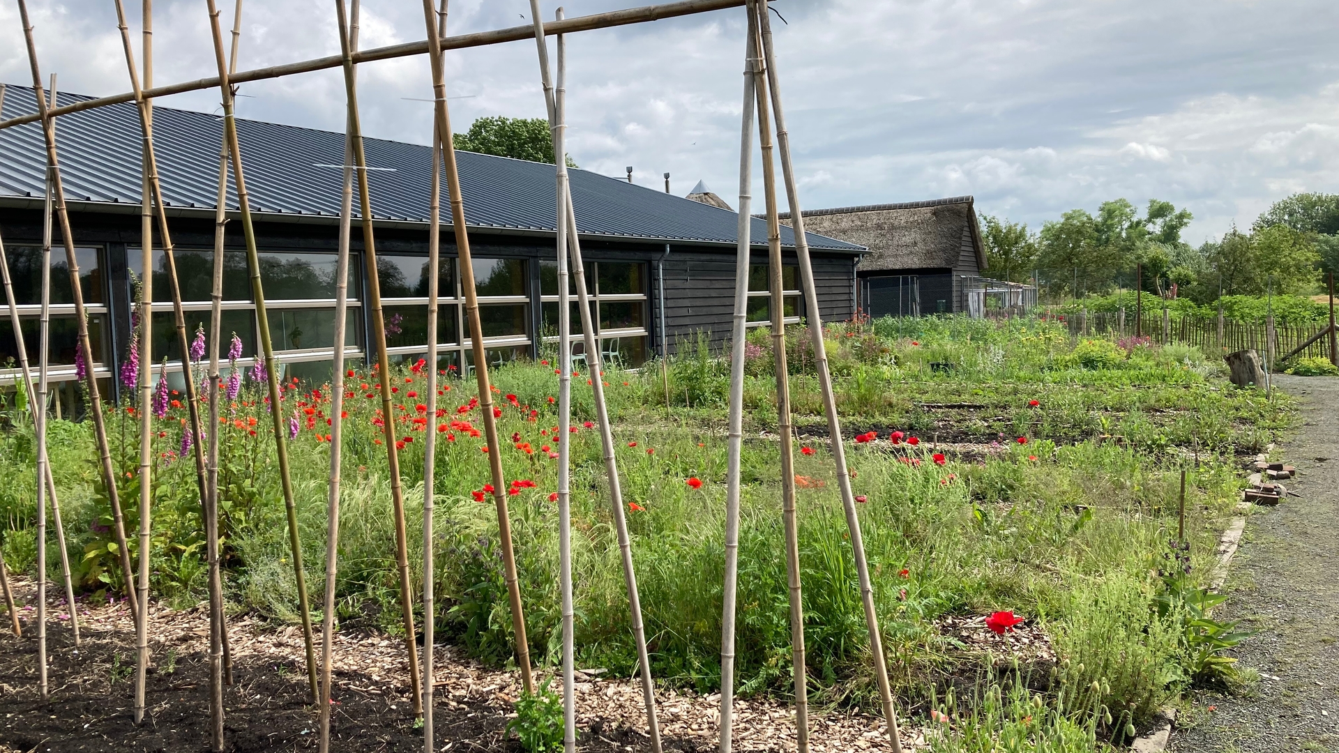 Moestuin Stadzigt