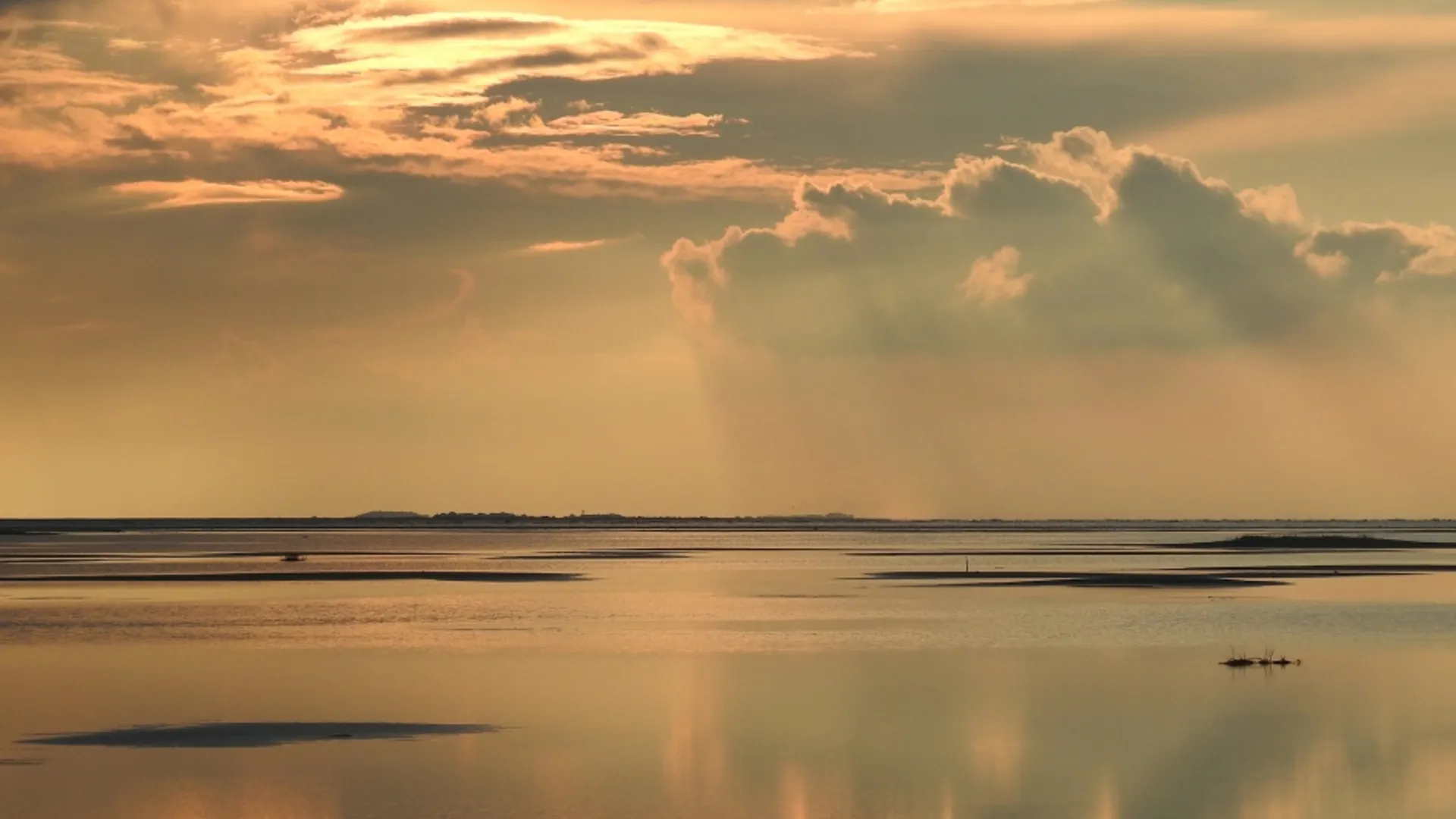 schiermonnikoog_5d4ed5cb6bfd1_medium