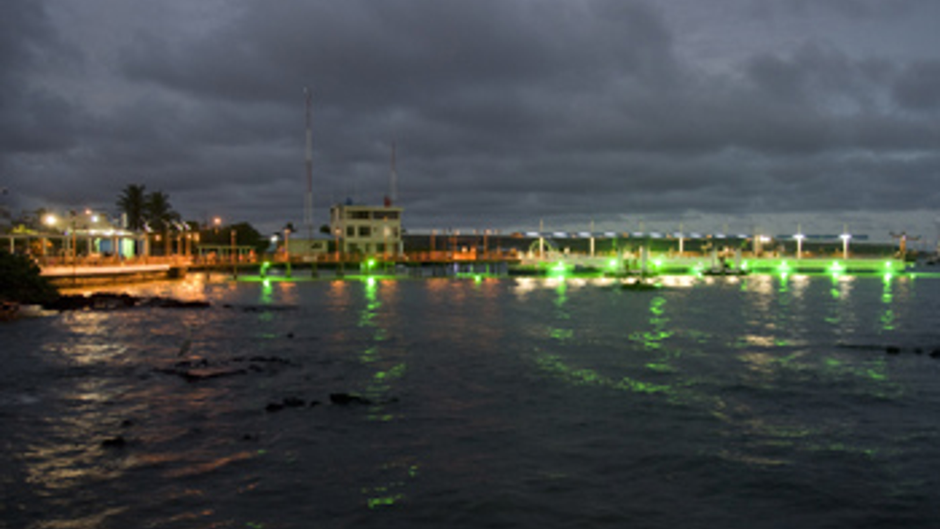 galapagos_20090715.jpg
