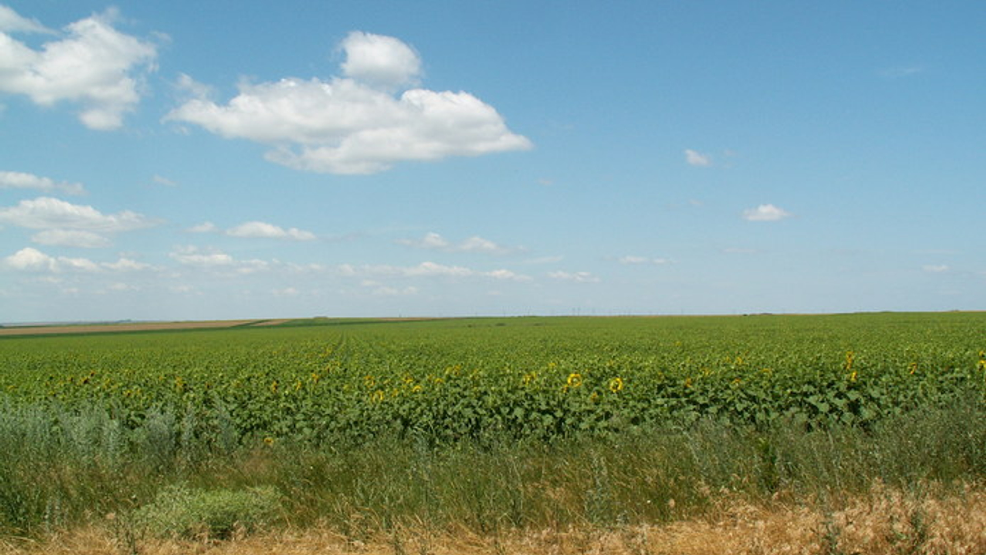 sun-1394477.jpg