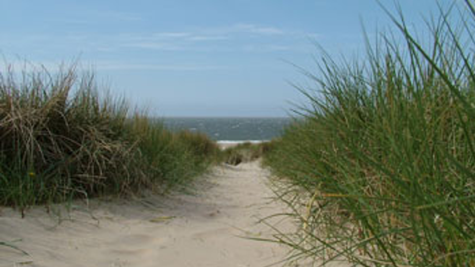 vv_newsimg_135732.jpg
