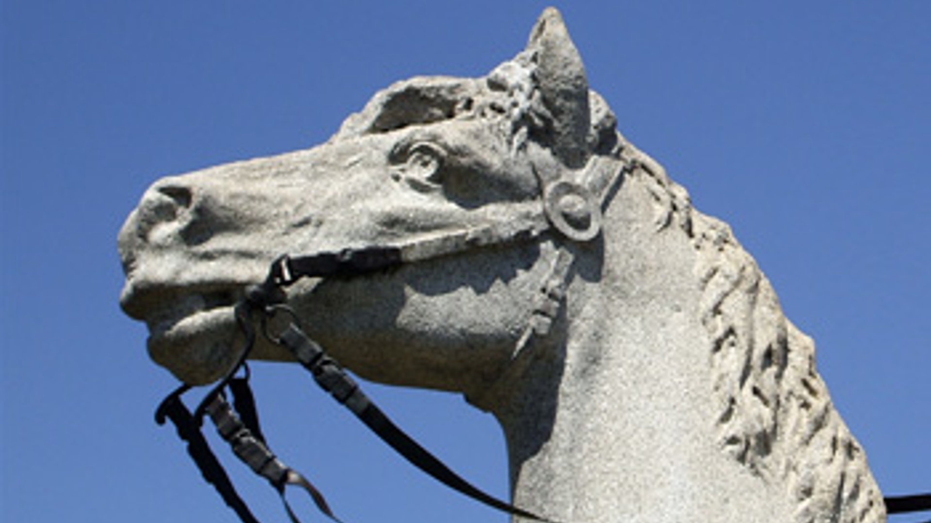 paard_standbeeld_20081008.jpg
