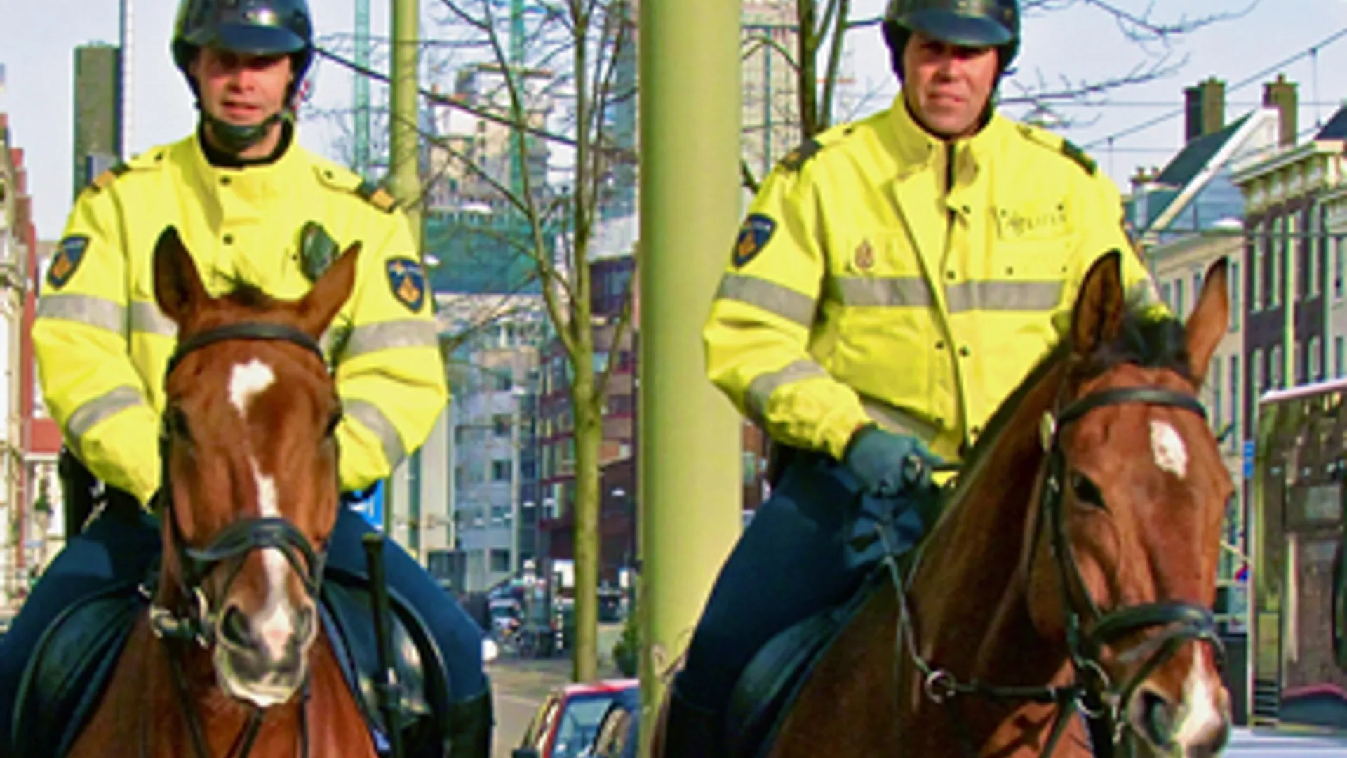 politietepaard_n.jpg