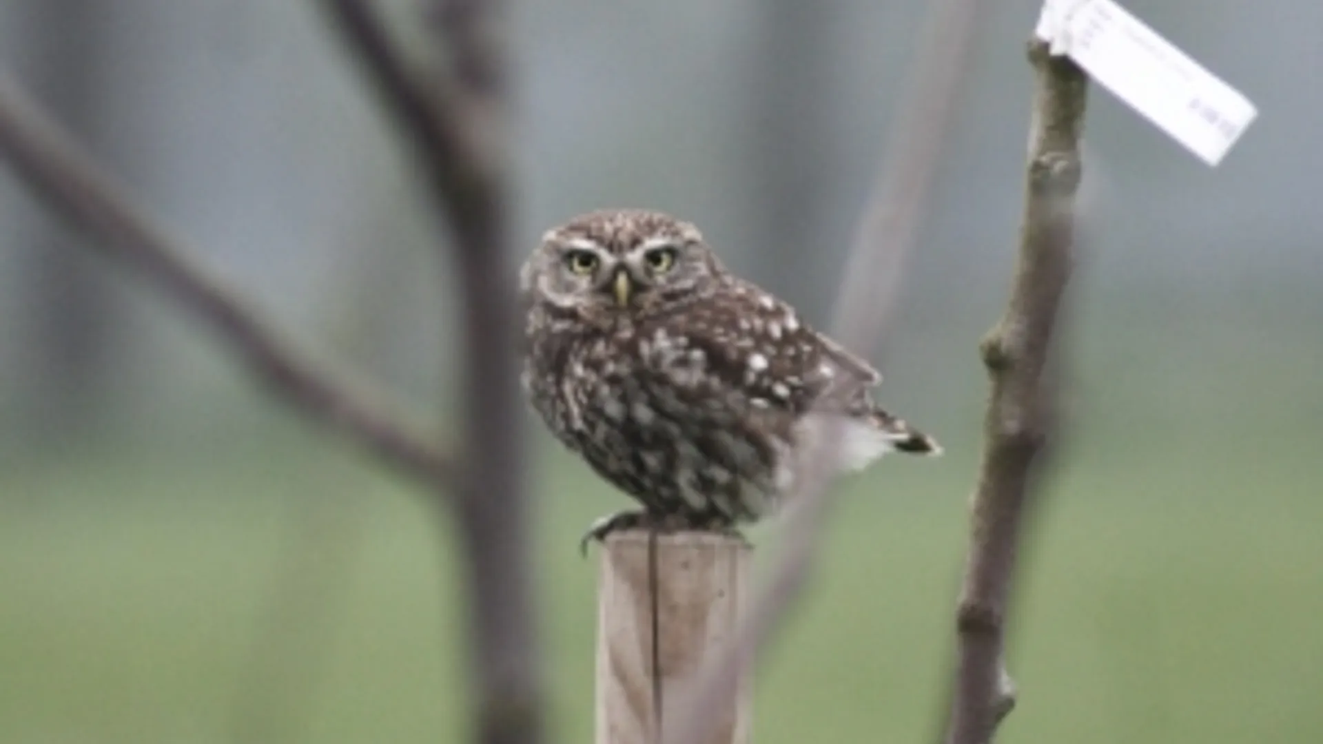 natuurlijkbuiten_151_-_kopie.jpg