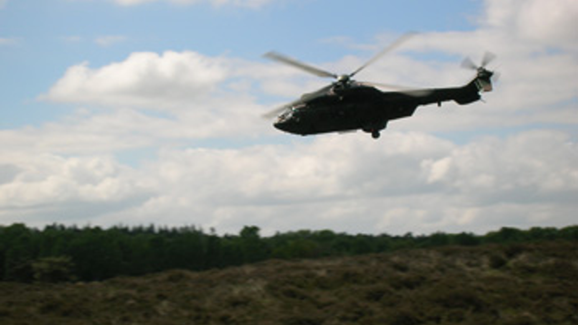 vv_newsimg_255690.jpg