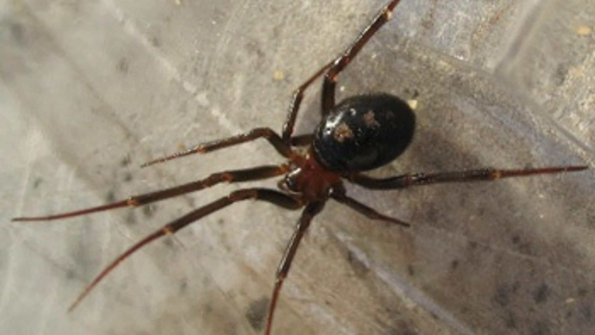 53229.w350.r350-197.3b3d6cd