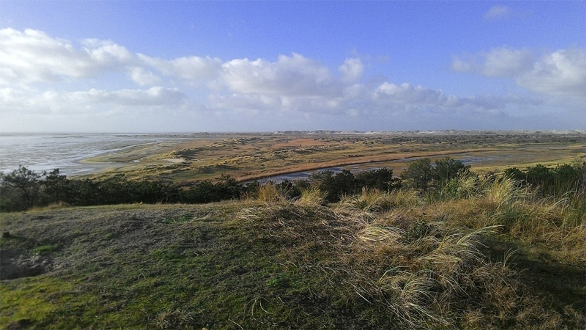 terschelling_02.jpg