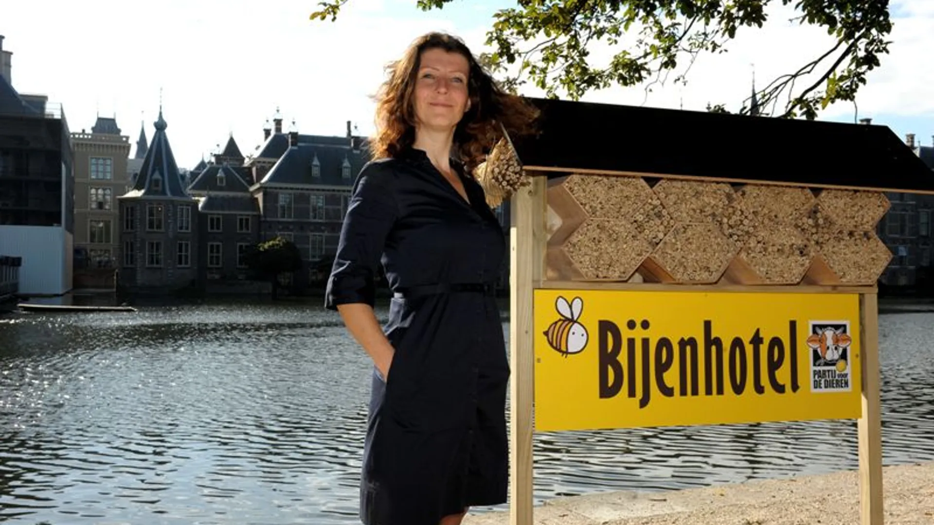 bijenhotel-pvdd-20120907-3_klein.jpg
