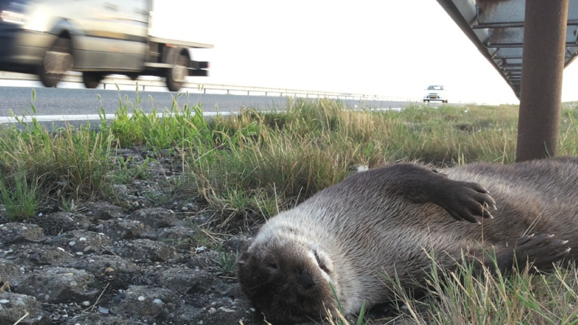 Schermafdruk 2016-09-21 11.16.45