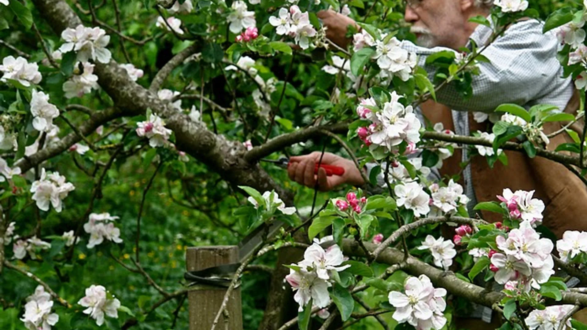 Open_Tuinres_10.jpg
