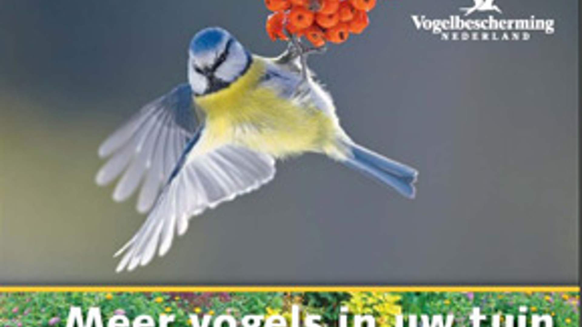 zegel.jpg