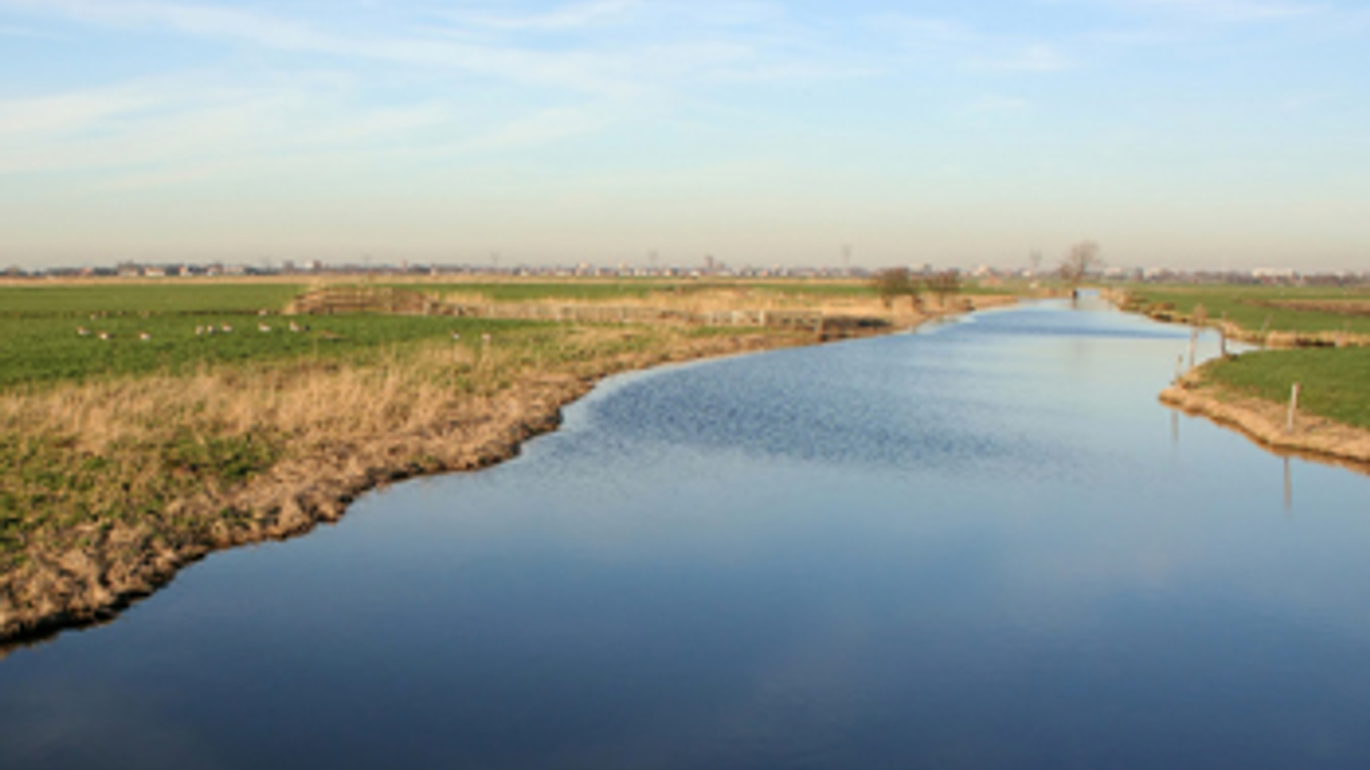 polder1_01.jpg