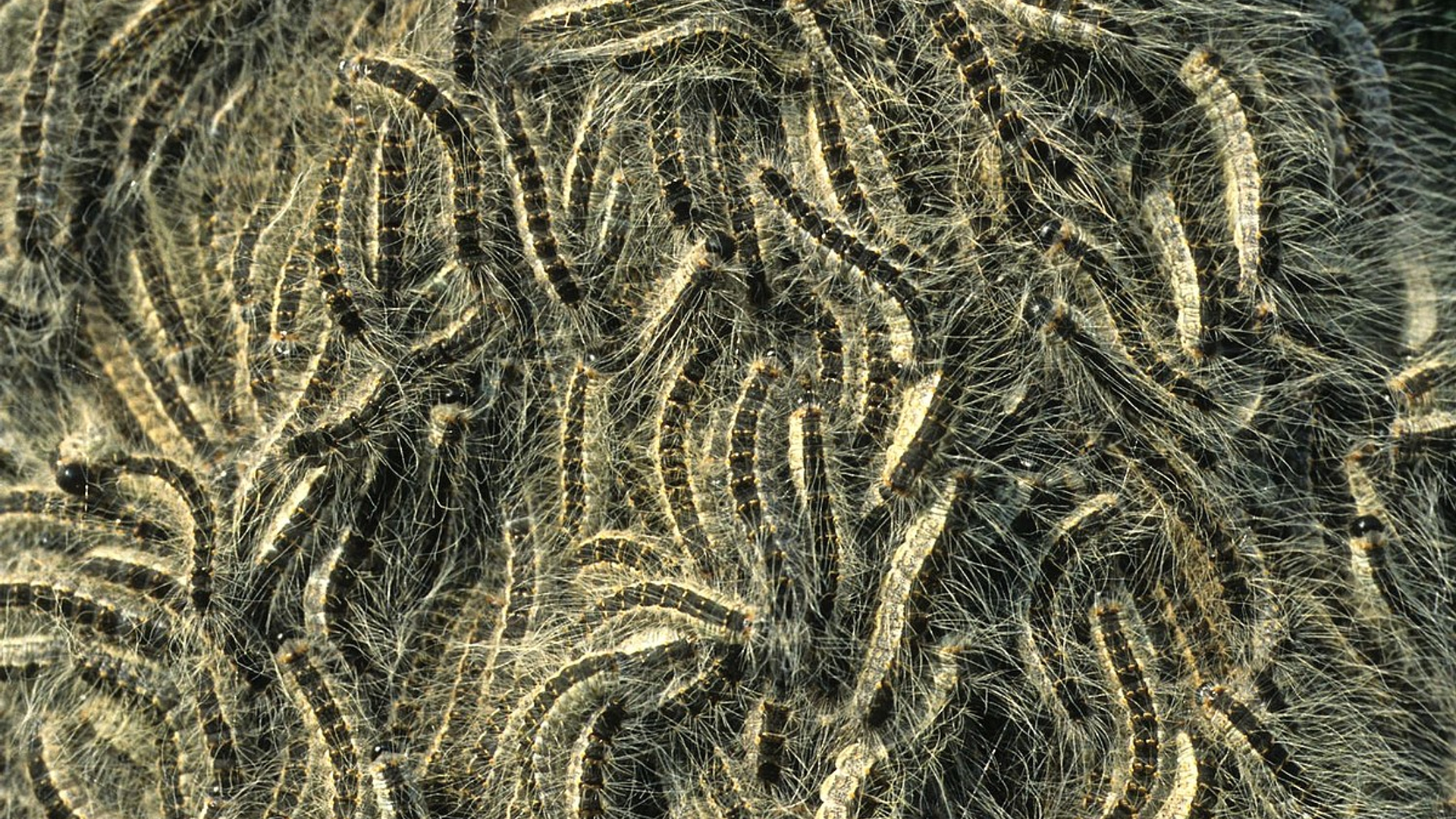 6a5071388a.jpg