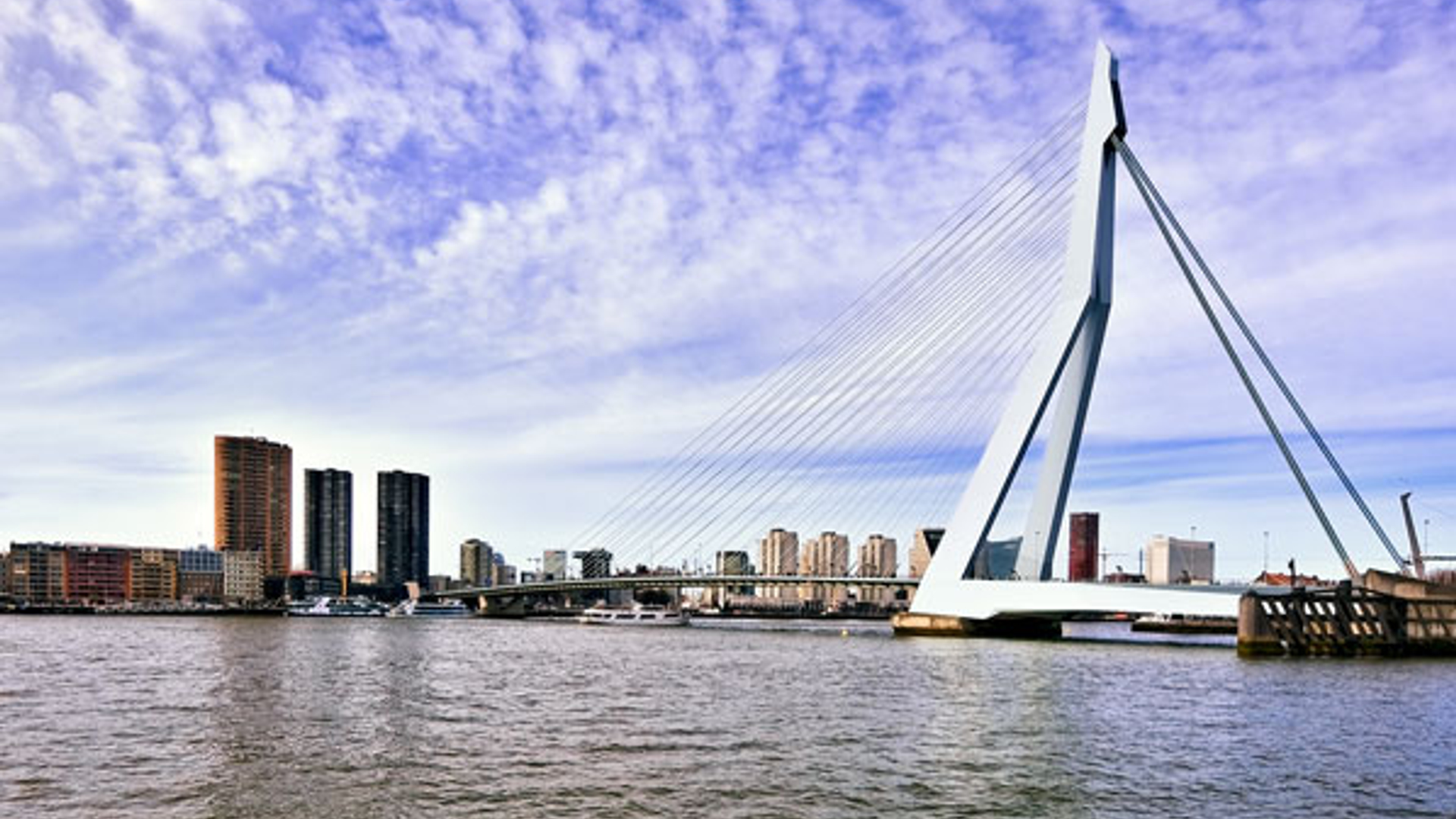 rotterdam_08.jpg