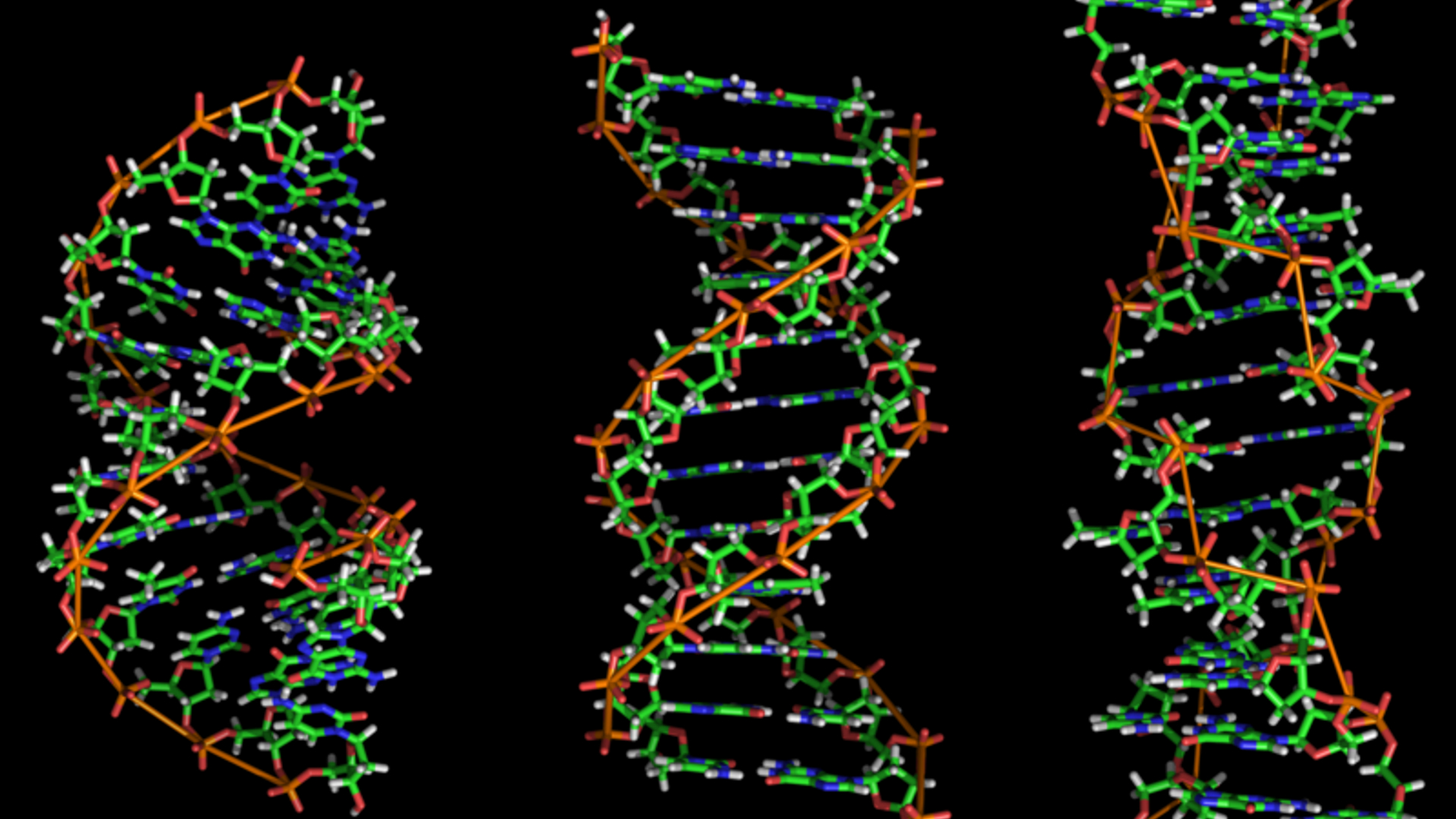 dna.png