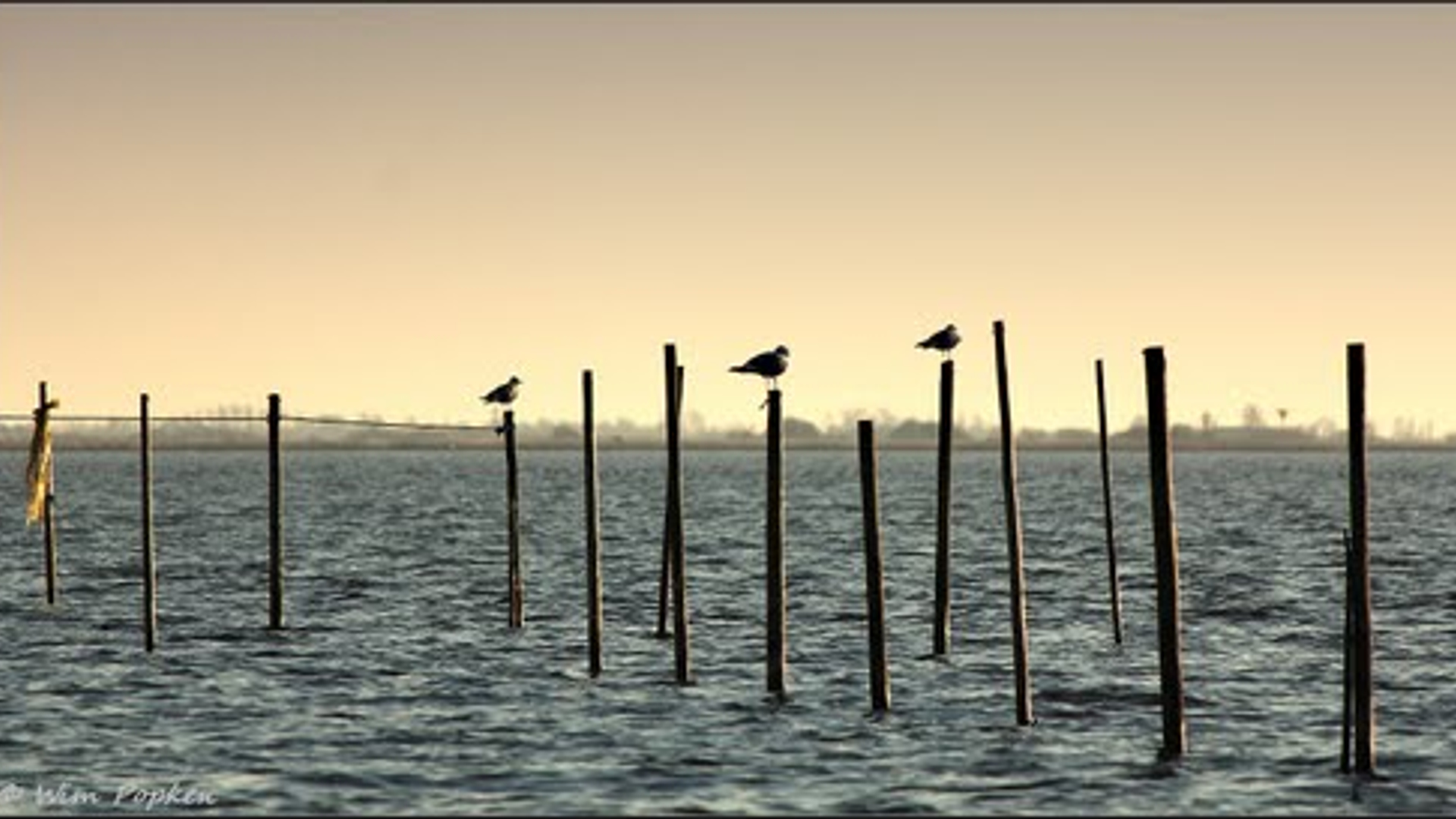 meer_01.jpg