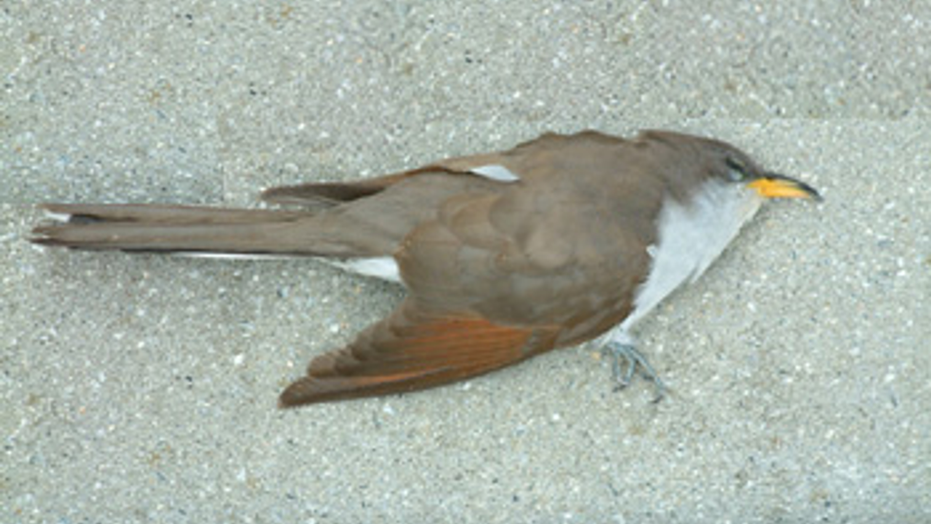 vv_newsimg_170334.jpg