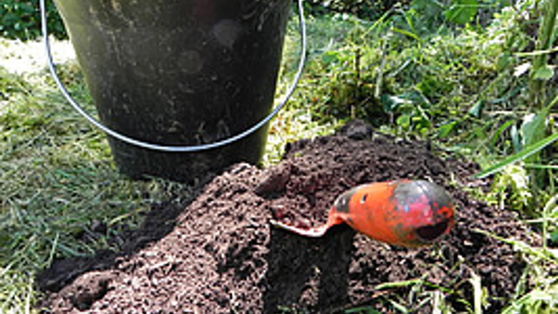 moestuin_09.jpg