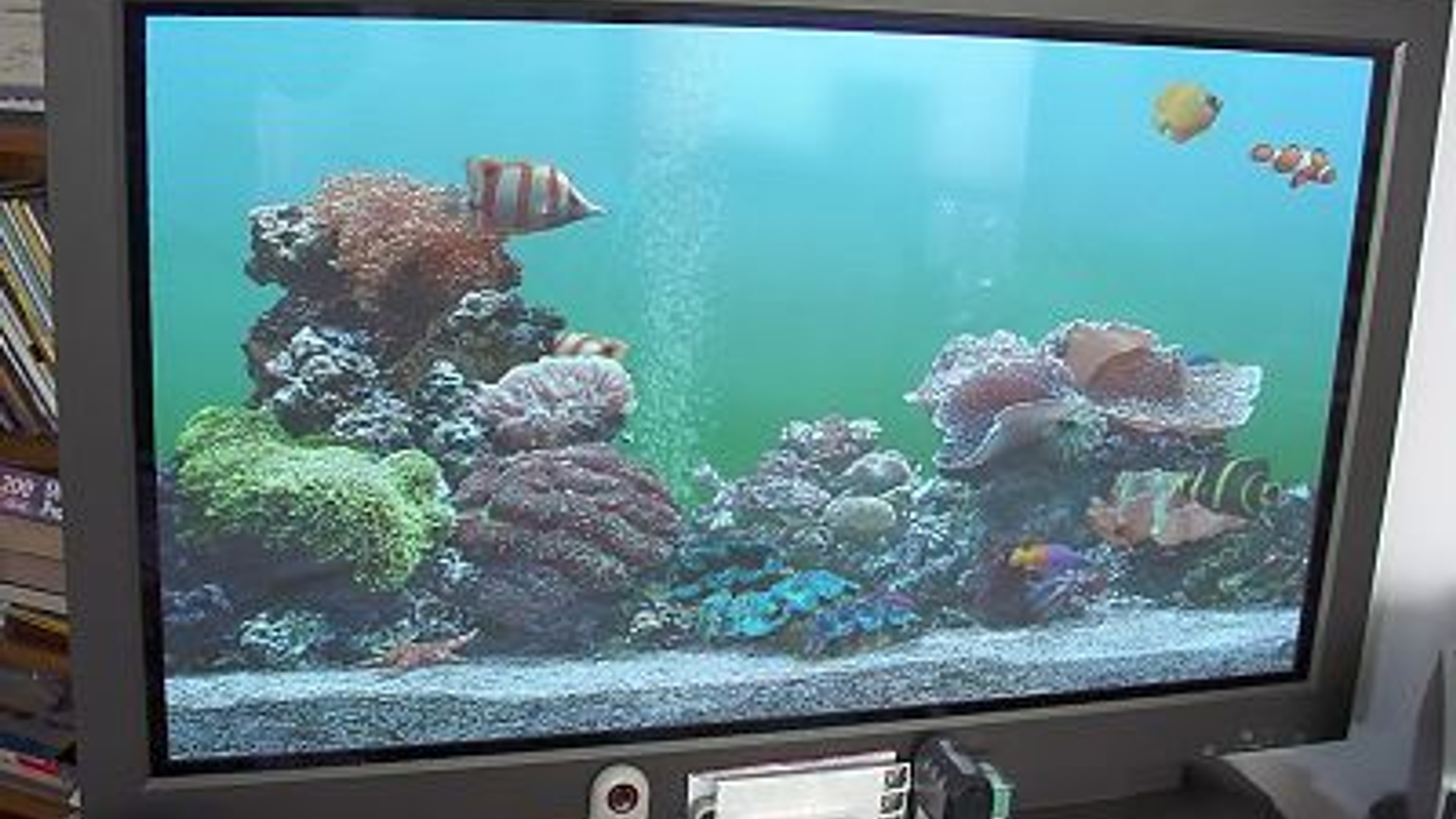 TV-Plasma.jpg
