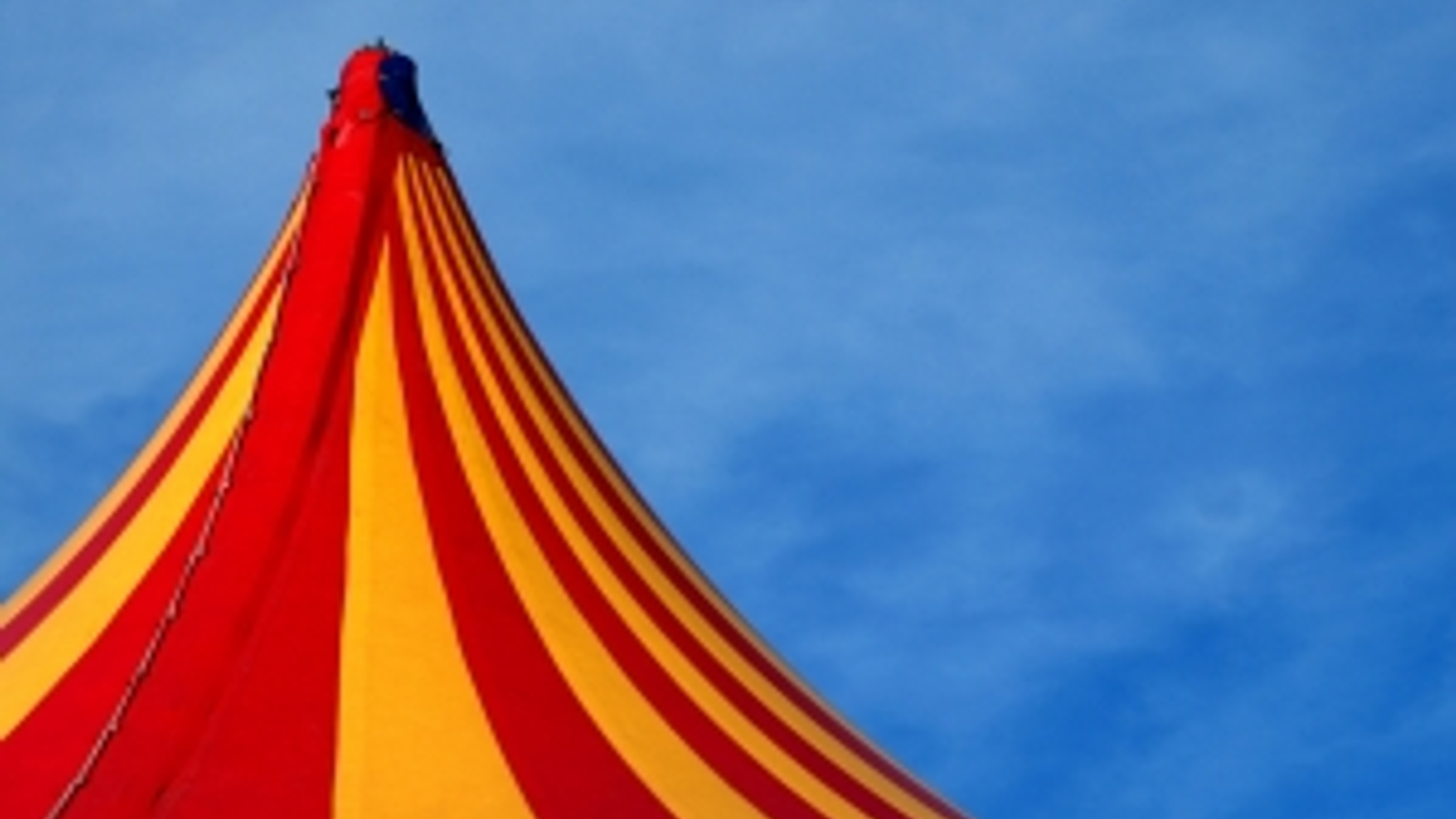 1382853_circus_tent_top.jpg