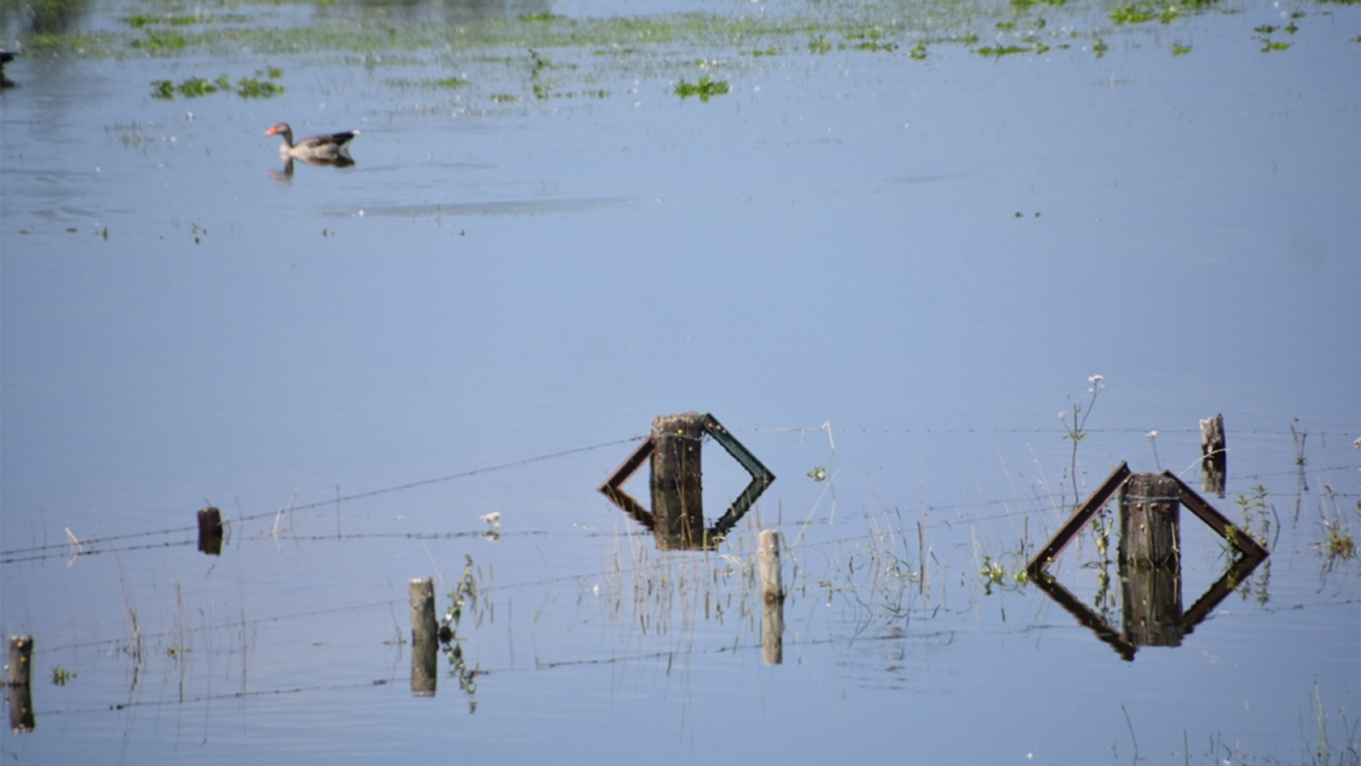 hoogwater_overstroming_Jeanet1