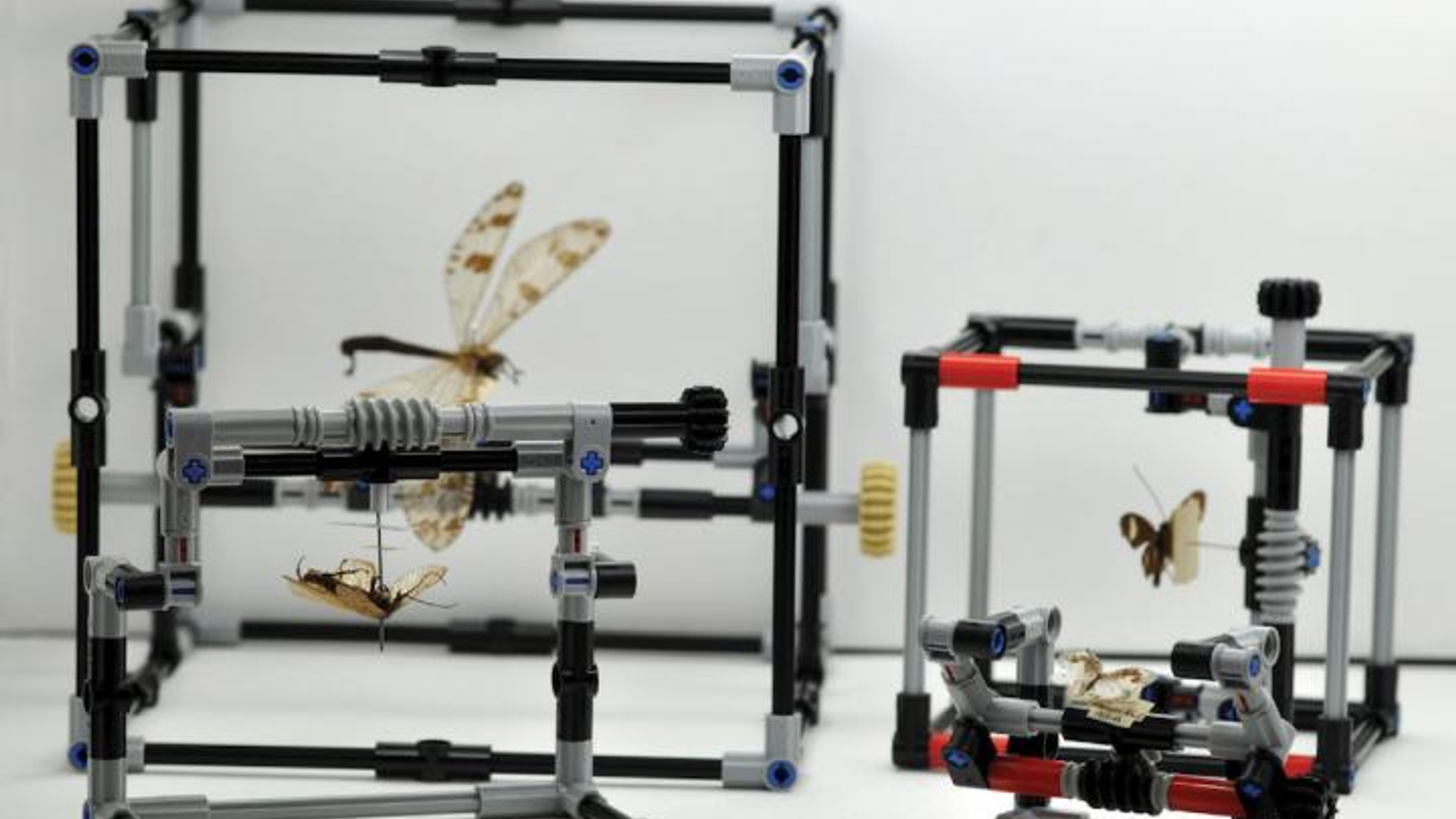 LEGOinsecten.jpg