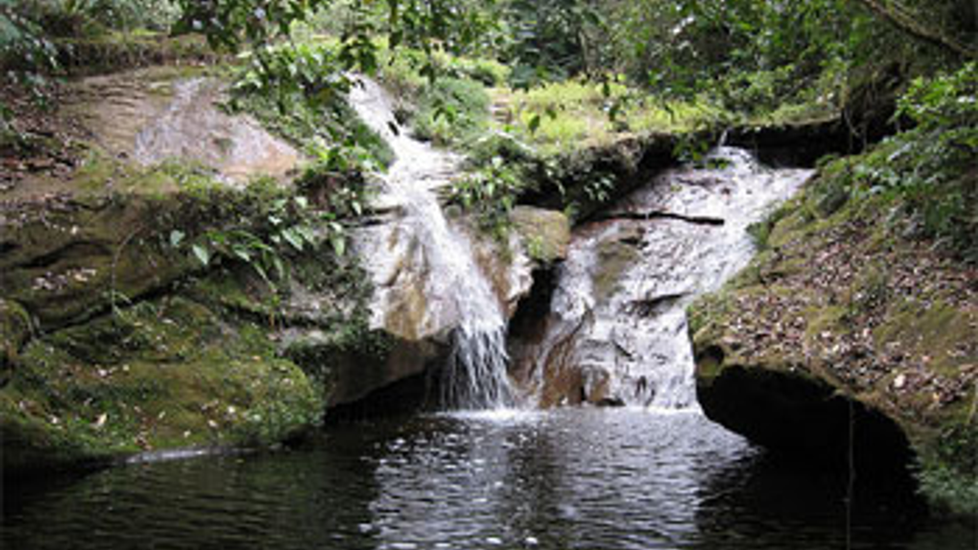 Amboro-National-Park.jpg