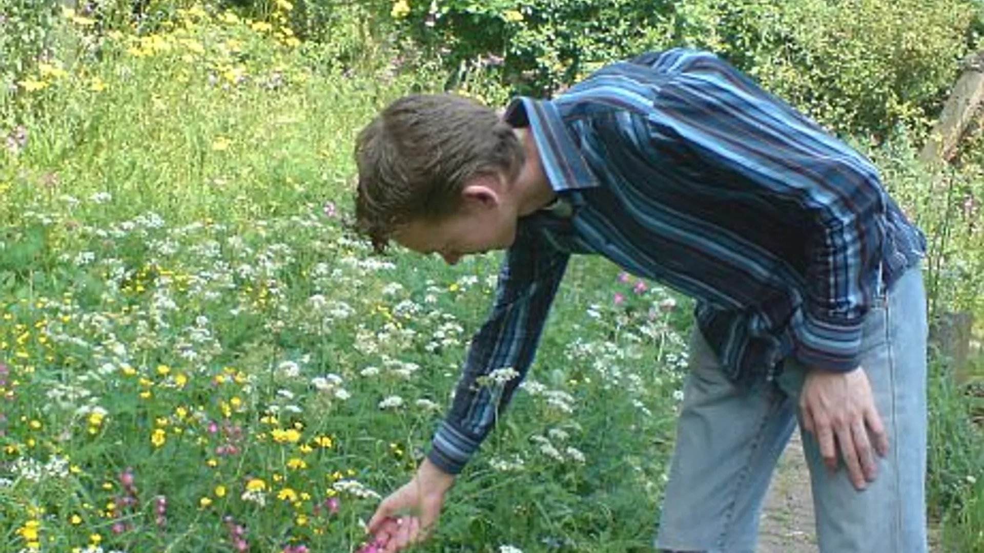 douwe_beerda_permacultuur.jpg