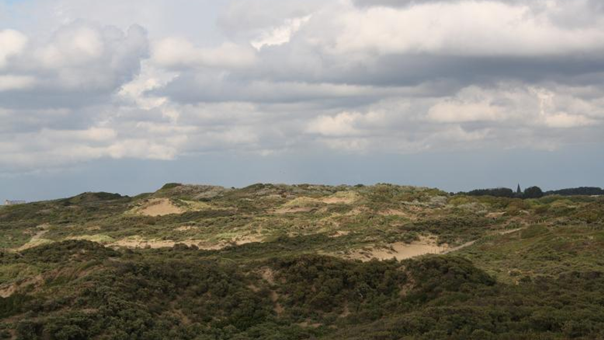 duinen_kijkduin_ladylove