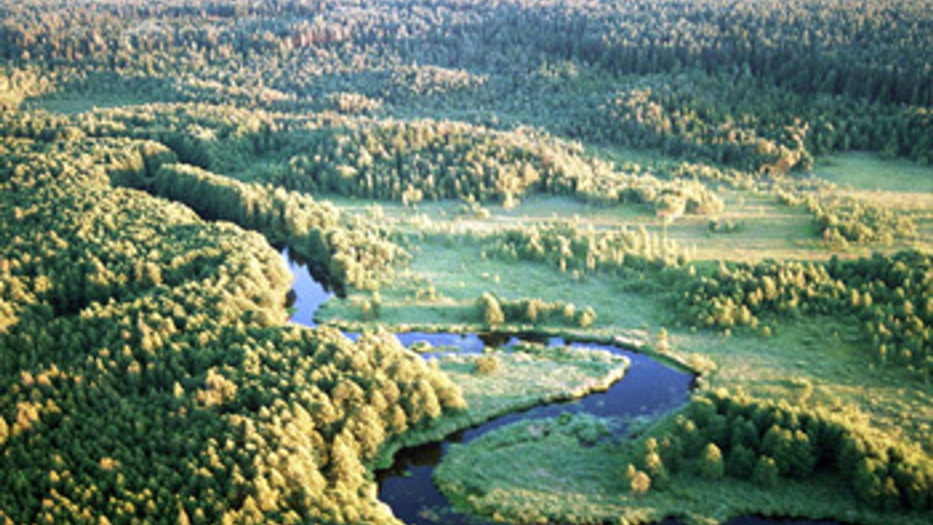vv_newsimg_317829.jpg
