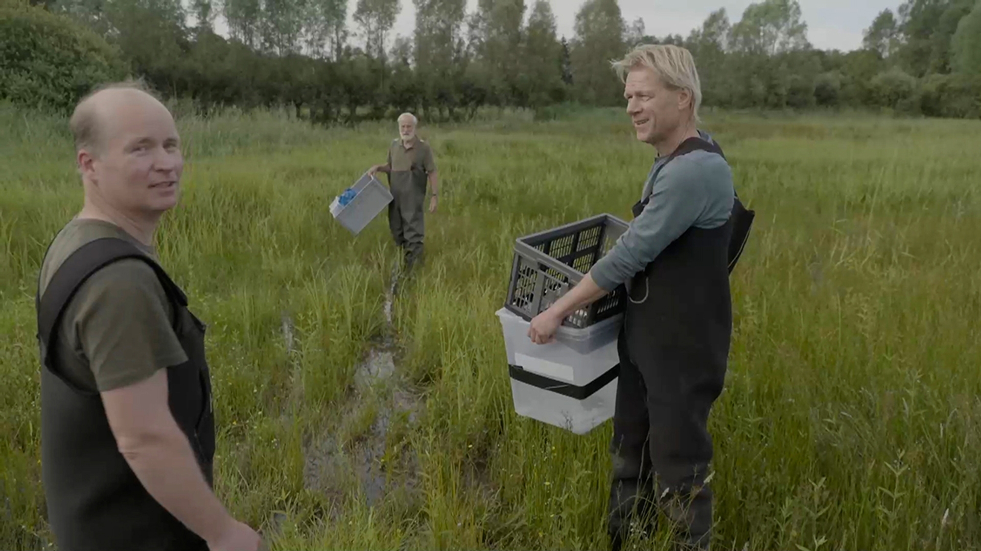 Uitzetten van de knoflookpad